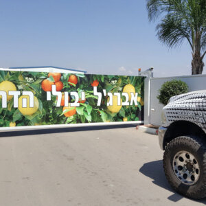 מיתוג גדר חשלמית של פרדס