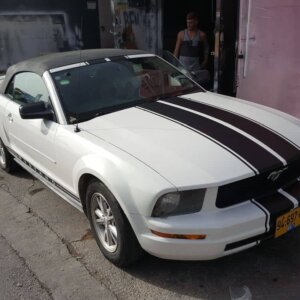 מדבקות לרכב