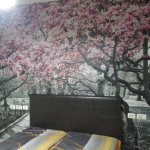 תמונות קיר 02