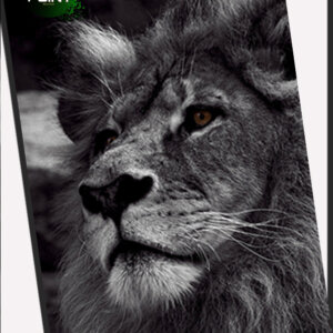 מדבקות A4 נייר